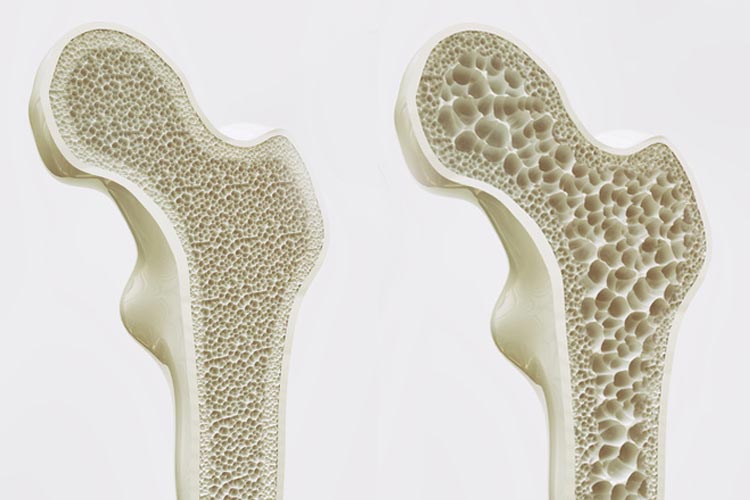 男性と女性の割合